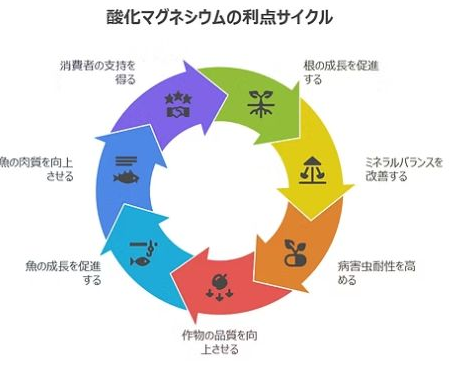 酸化マグネシウムの利点サイクル。根の成長、ミネラルバランス、病害虫耐性、作物品質、魚の成長、魚の肉質、消費者支持へつながる循環