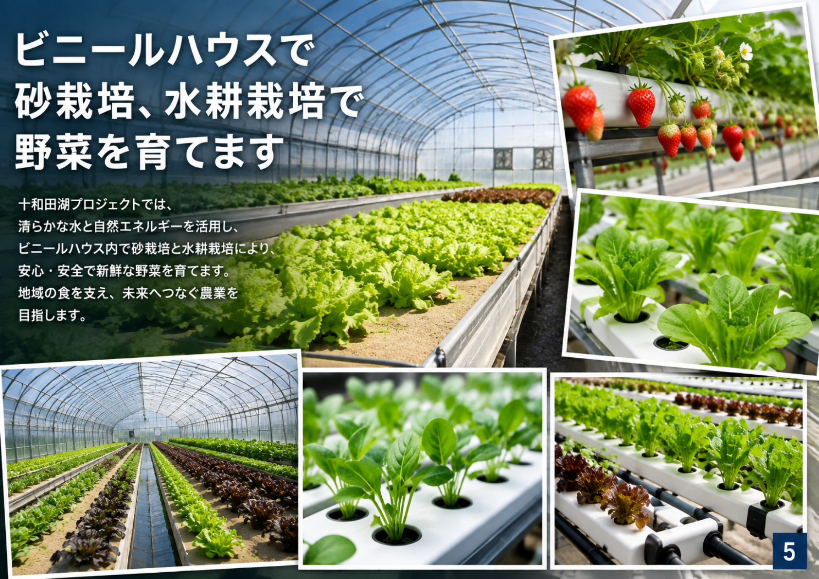十和田湖プロジェクトの今後の展望